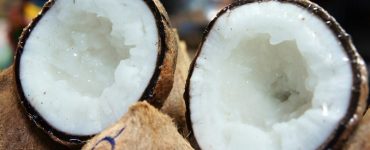 Agar Kelapa Biasa Menjadi Kelapa Kopyor