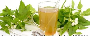 Cara Mengurus Izin Obat Herbal dari BPOM