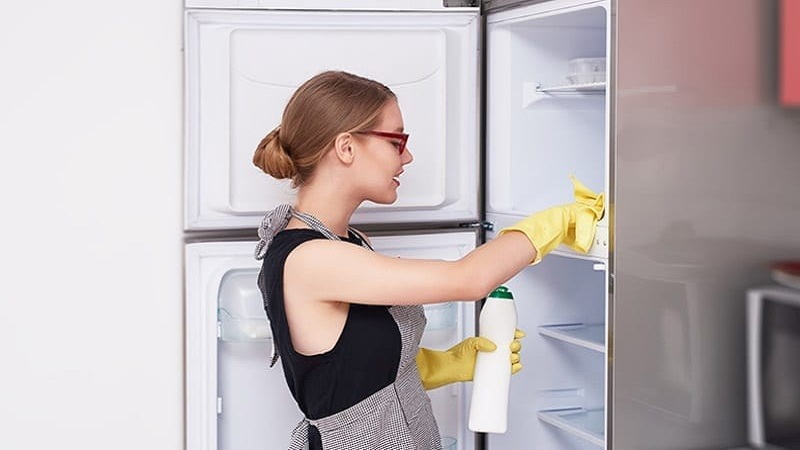 Membersihkan Freezer