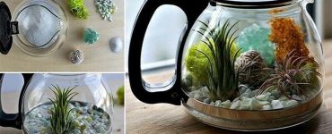 Membuat Kebun Portabel Sendiri