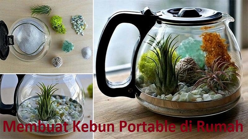 Membuat Kebun Portabel Sendiri