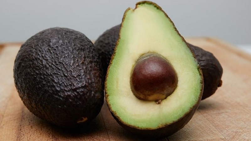 Tips Membeli Buah Alpukat